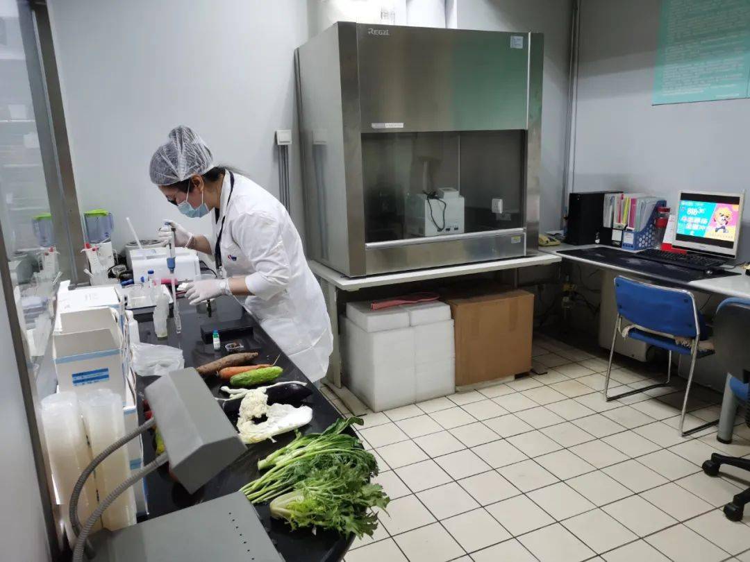 扎鲁特食品检测实验室装修方案